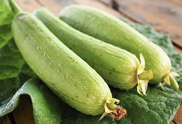 Công dụng của mướp hương chữa tiểu đường
