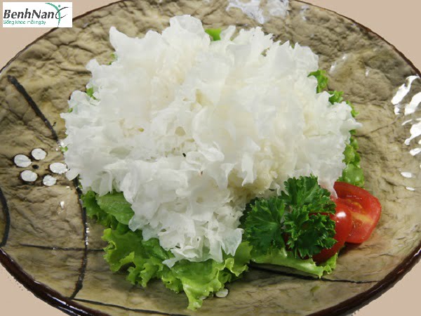 Canh mộc nhĩ, nấm tuyết