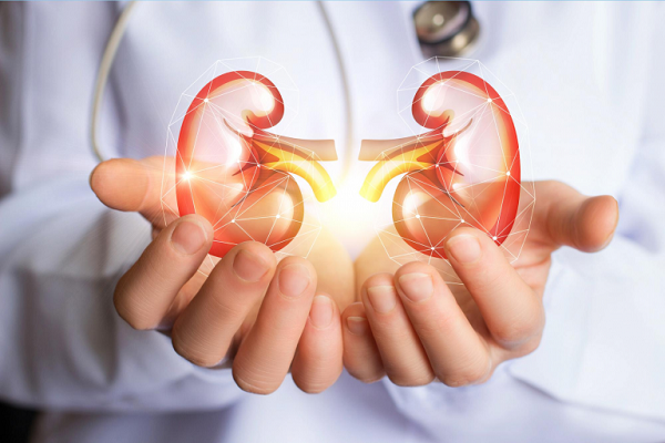 Cách nhận biết sớm biến chứng thận của bệnh tiểu đường