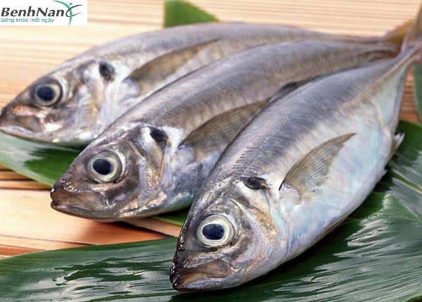 Tác dụng của cá với người bệnh tiểu đường như thế nào?