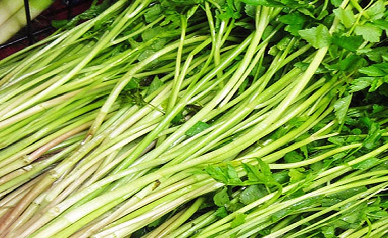 Bài thuốc chữa bệnh từ rau cần ta